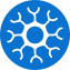 Plusssz Ashwagandha 100% Harmony Complex