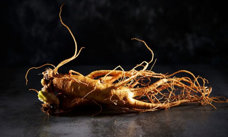 Ginseng – properties and effects on the body